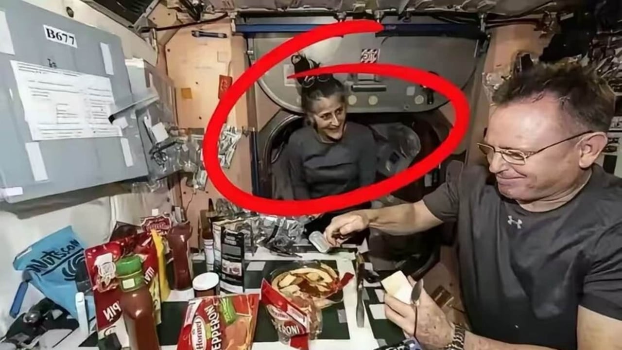 Hero image