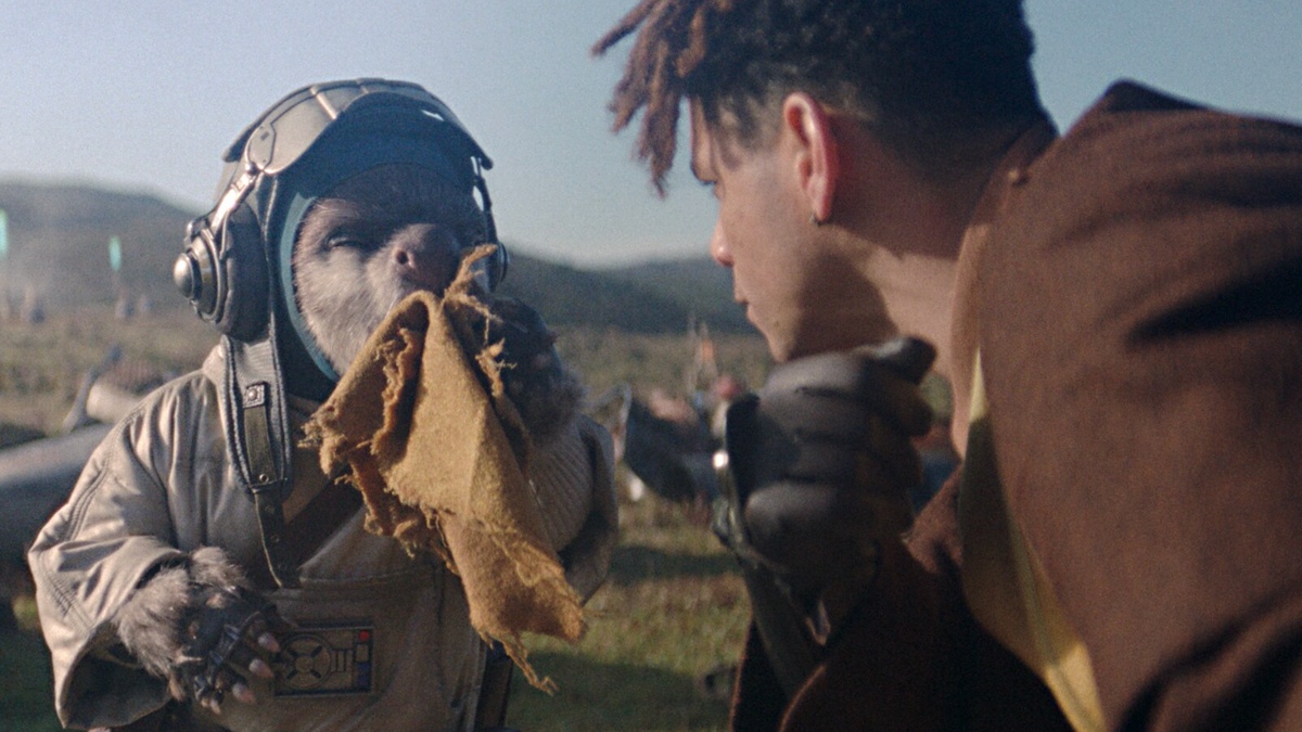 Hero image