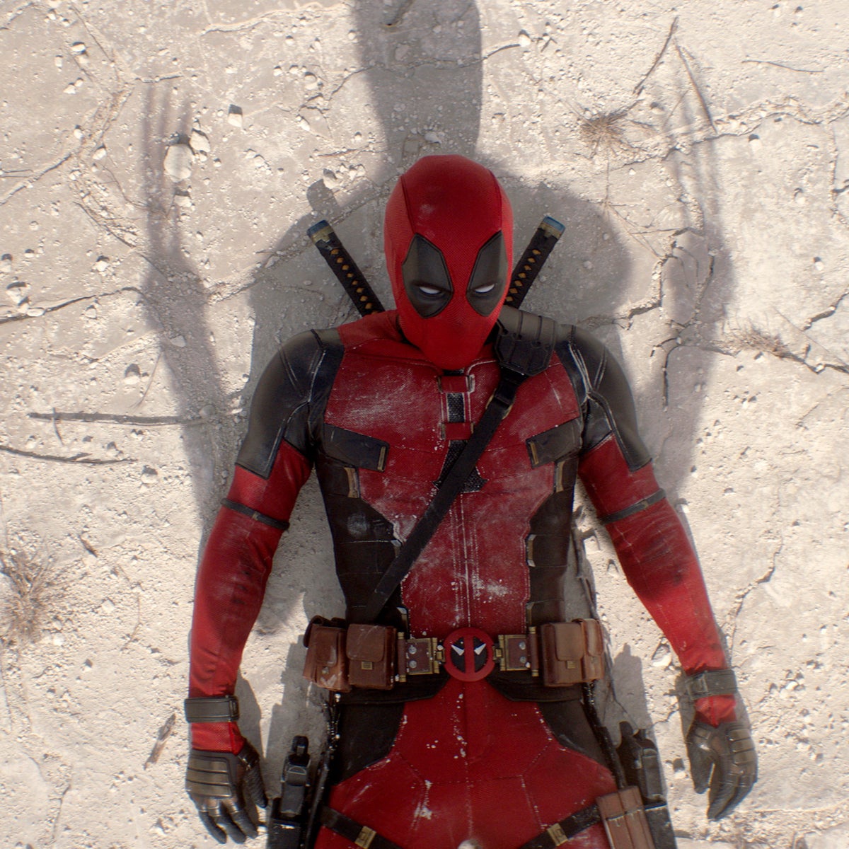 Hero image
