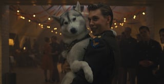 Hero image