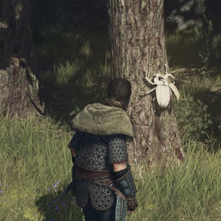 Hero image