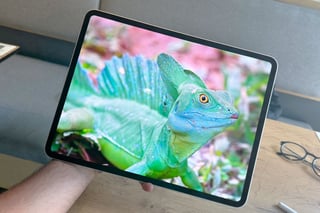 Hero image