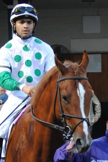 Picture of Luis Saez