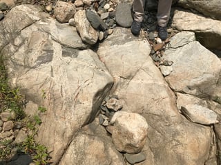 Picture of Tonalite–trondhjemite–granodiorite