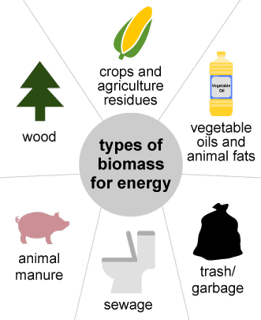 Picture of Biomass