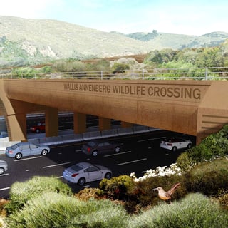Picture of Wallis Annenberg Wildlife Crossing