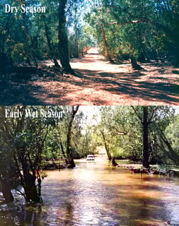 Picture of Finniss River