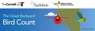 Picture of Great Backyard Bird Count