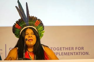 Picture of Sonia Guajajara