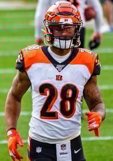 Picture of Joe Mixon