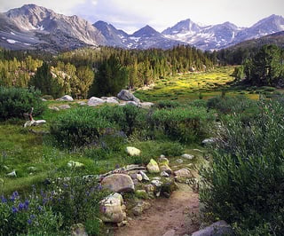 Picture of Eastern Sierra