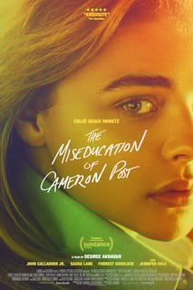 Picture of The Miseducation of Cameron Post