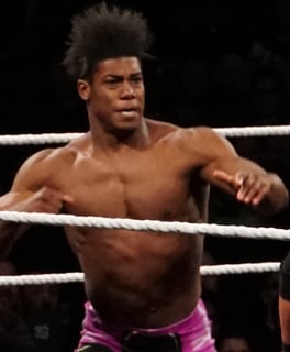 Picture of Velveteen Dream
