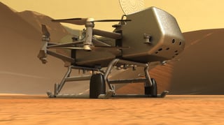 Picture of Dragonfly