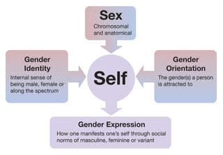 Picture of Transgender health care