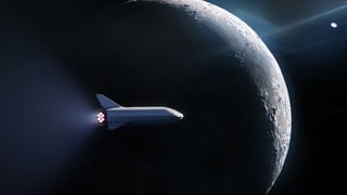 Picture of dearMoon project