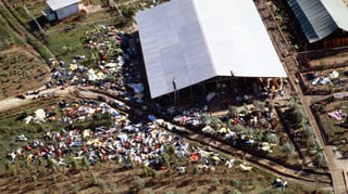 Picture of Jonestown Massacre