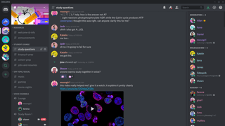 Picture of Discord