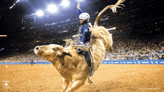 Picture of Houston Livestock Show and Rodeo