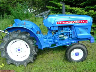 Picture of Hinomoto