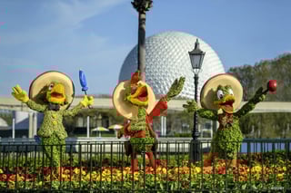 Picture of Epcot International Flower & Garden Festival
