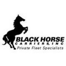 Picture of Black Horse