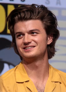 Picture of Joe Keery