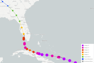 Picture of Hurricane Irma