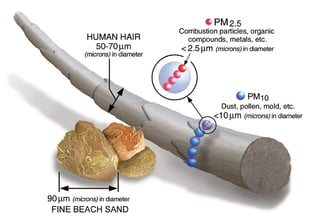 Picture of PM 2.5