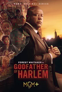 Picture of Godfather of Harlem