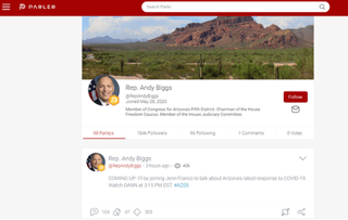Picture of Parler