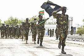 Picture of Danab Brigade