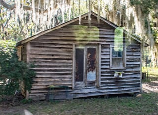 Picture of Hog Hammock, Georgia
