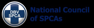 Picture of NSPCA