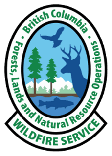 Picture of BC Wildfire Service