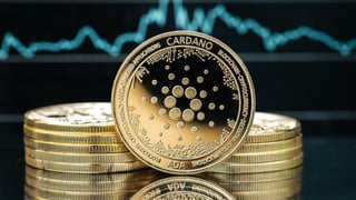 Picture of Cardano