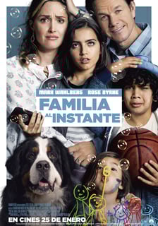 Picture of Instant Family