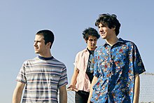 Picture of Wallows
