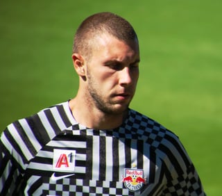 Picture of Strahinja Pavlović