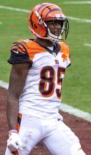 Picture of Tee Higgins