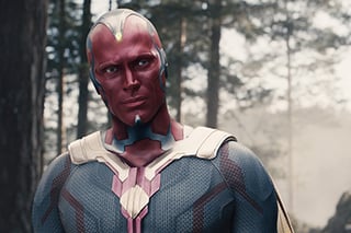 Picture of Vision