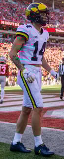 Picture of Roman Wilson