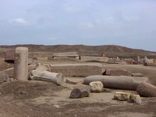 Picture of Tanis