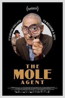 Picture of The Mole Agent