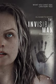 Picture of The Invisible Man