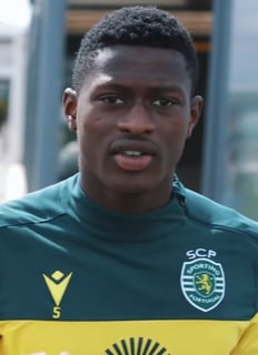 Picture of Nuno Mendes