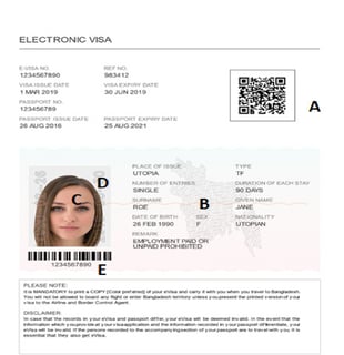Picture of Electronic visa