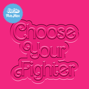 Picture of Choose Your Fighter