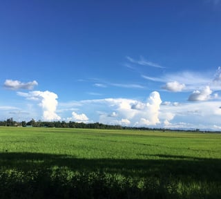 Picture of Imphal Valley
