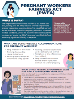 Picture of Pregnant Workers Fairness Act
